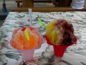 Fish Hut Shave Ice ... Good Stuff