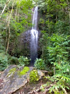 UnnamedDoubleFalls